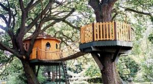 Будиночок на дереві: ідеї з усього світу
